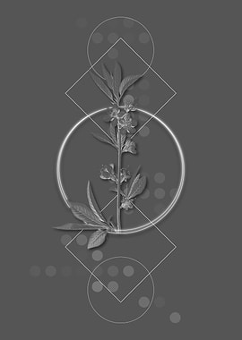 Vintage Pink Flower Branch