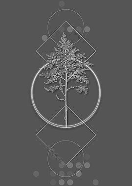 Vintage Grey Giant Cabuya