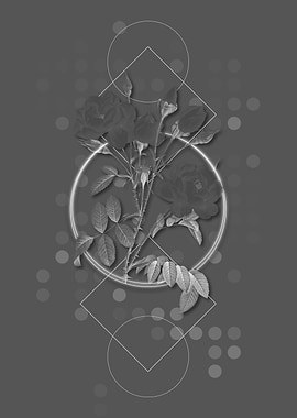 Geometric Rose Botanical