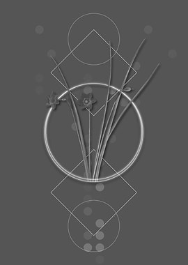 Geometric Grey Daffodil