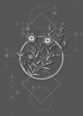 Vintage Rosa Persica