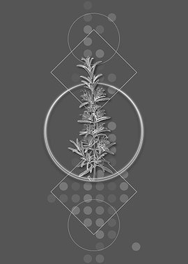 Gray Modern Rosemary Herb