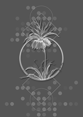 Vintage Grey Fritillaries