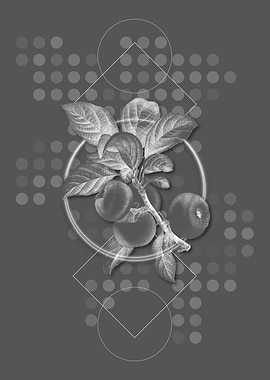 Gray Geometric Apple Fruit