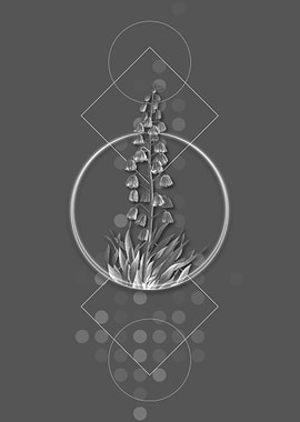 Vintage Gray Persian Lily