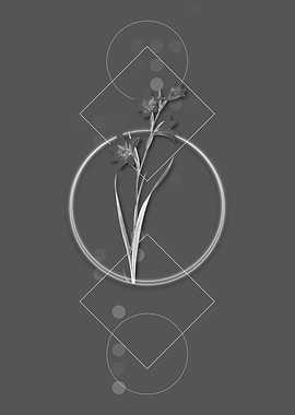 Vintage Gray Painted Lady