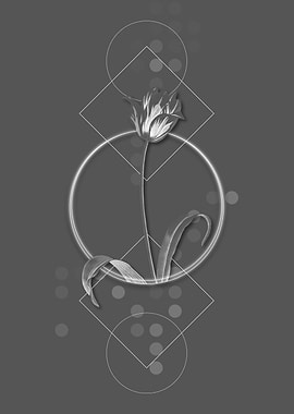 Grey Moody Didiers Tulip