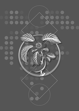 Geometric Chinese Quince