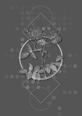 Vintage Lady Monson Rose