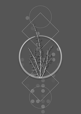 Gray Modern White Broom