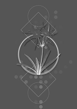 Streambank Spiderlily