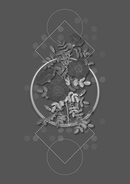 Geometric Rose Botanical