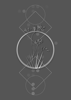 Vintage Grey Freesia