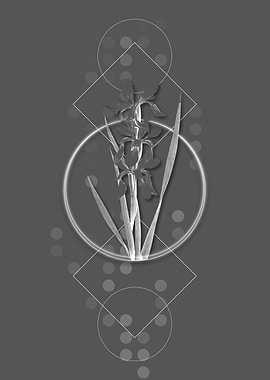 Vintage Yellow Banded Iris