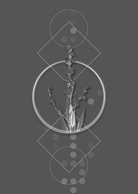 Pale Yellow Eyed Grass