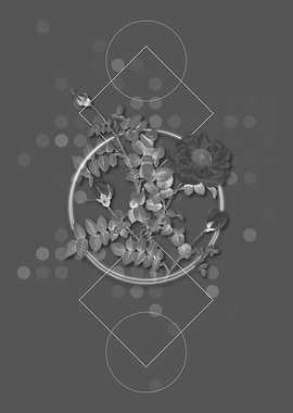 Gray Vintage Rose Flower