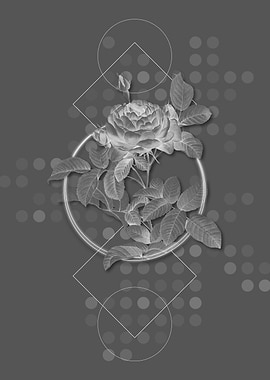 Vintage Red Gallic Rose