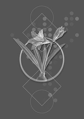 Geometric Modern Flowers