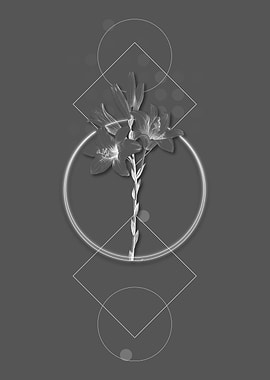 Vintage Gray Madonna Lily