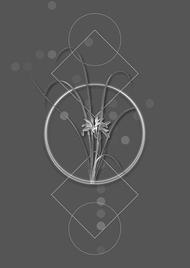 Vintage Grass Leaved Iris