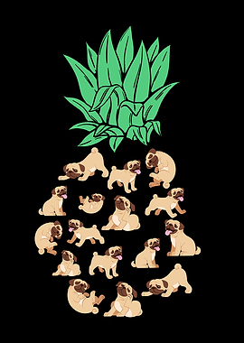 Pug Pineapple