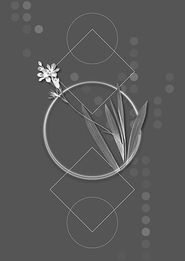 Geometric Grey Gladiolus