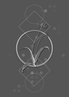 Vintage Gray Spring Garlic