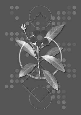 Gray Modern Loblolly Bay