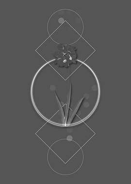 Vintage Grey Ixia Maculata