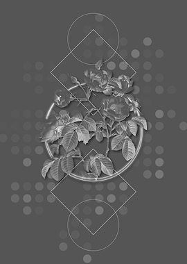 Geometric Tomentose Rose