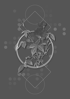 Geometric Rose Botanical