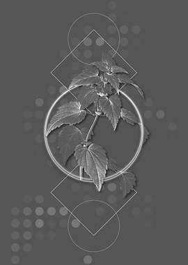 Geometric Gray Botanical