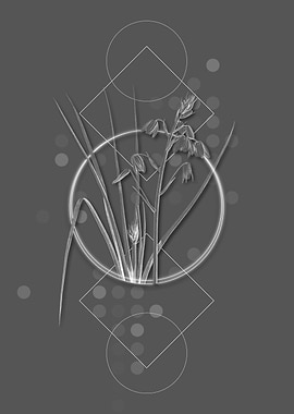 Vintage Slime Lily Flowers