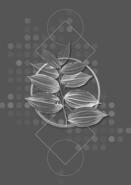 Vintage King Solomons Seal