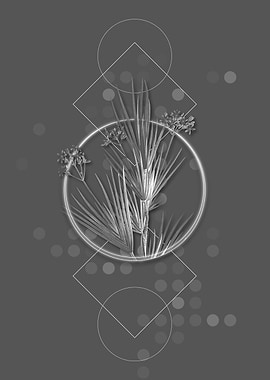 Ghostly Gray Blue Stars