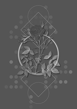 Geometric Rose Botanical