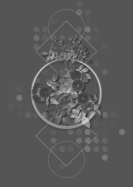 Vintage Pink Baby Roses