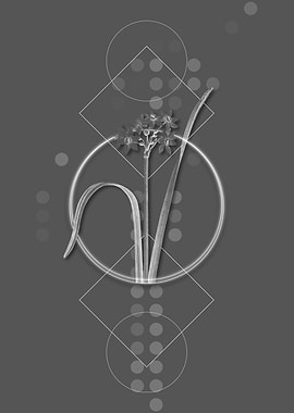 Cowslip Cupped Daffodil