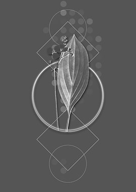 Bulltongue Arrowhead