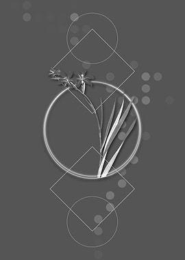 Vintage Grey Gladiolus