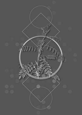 Flowering Indigo Plant