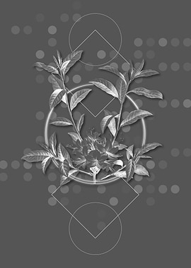 Geometric Blooming Azalea