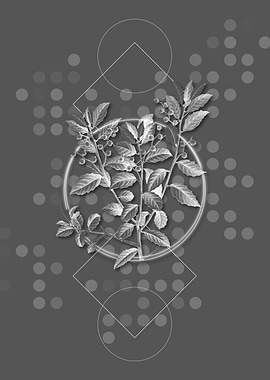 Moody Modern Evergreen Oak