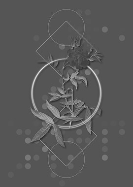 Geometric Rose Botanical