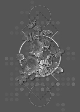 Gray Vintage Rose Flowers