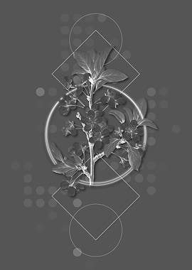 Vintage Grey Botanical