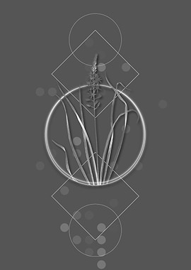 Vintage Wild Asparagus