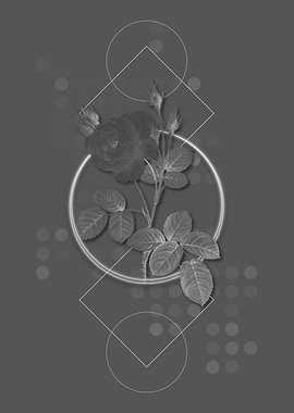 Geometric Rose Botanical