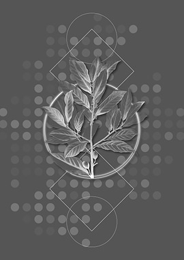 Geometric Gray Bay Laurel