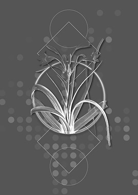 Vintage Malgas Lily Flower